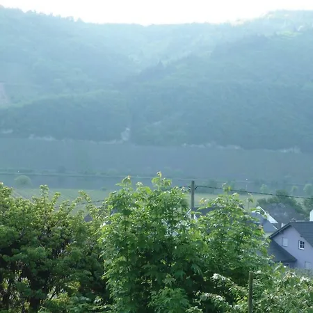 Haus Eva A Mehring (Rhineland-Palatinate)
