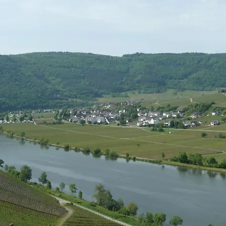 Haus Eva A Mehring (Rhineland-Palatinate)